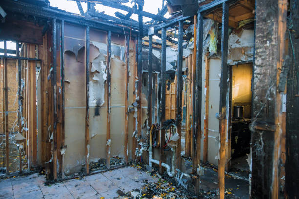 Professional Smoke Odor Removal technician working in Milford, OH