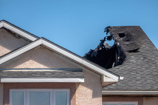 Top rated local Smoke Odor Removal specialists in Milford, OH